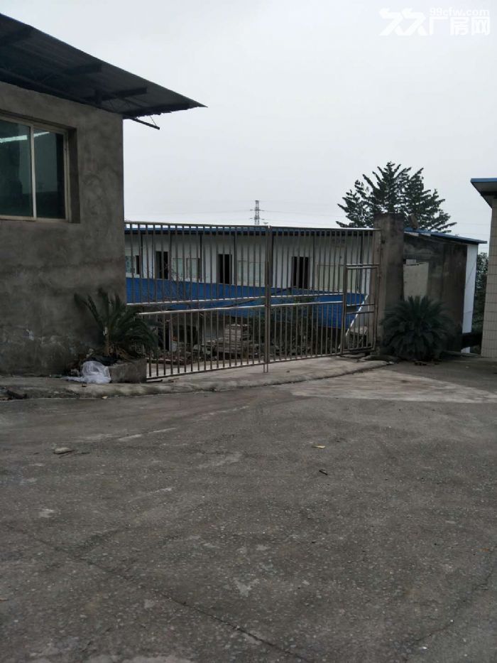 南山1700平标准厂房出租-图7