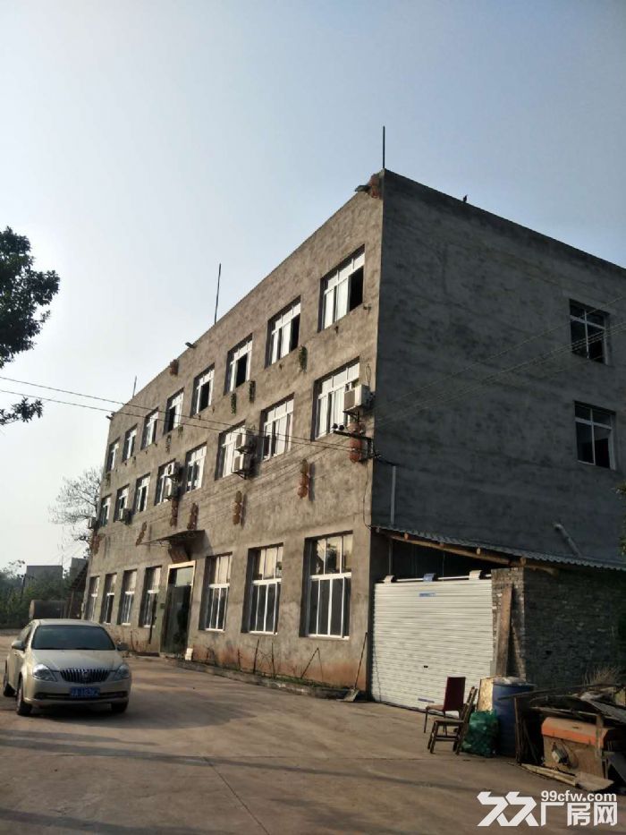 茶园长江工业园1300平农家乐、福利院出租-图1