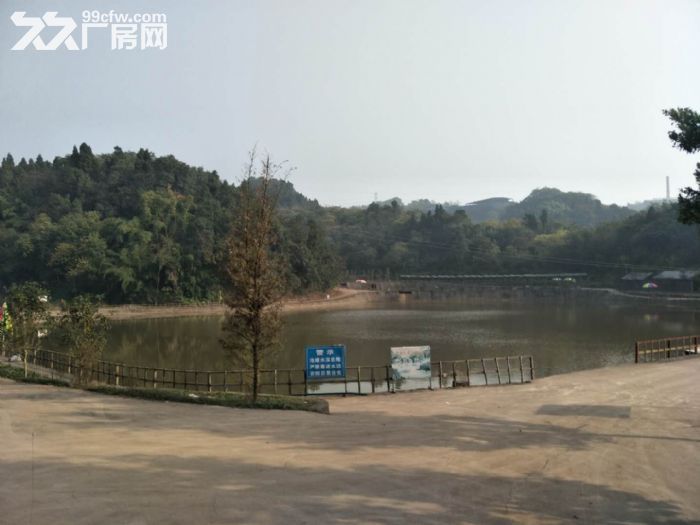茶园长江工业园1300平农家乐、福利院出租-图3
