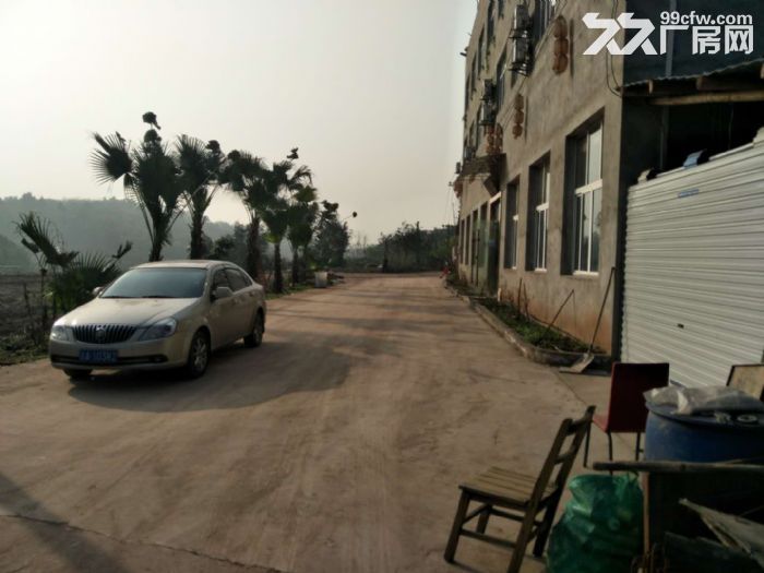 茶园长江工业园1300平农家乐、福利院出租-图4