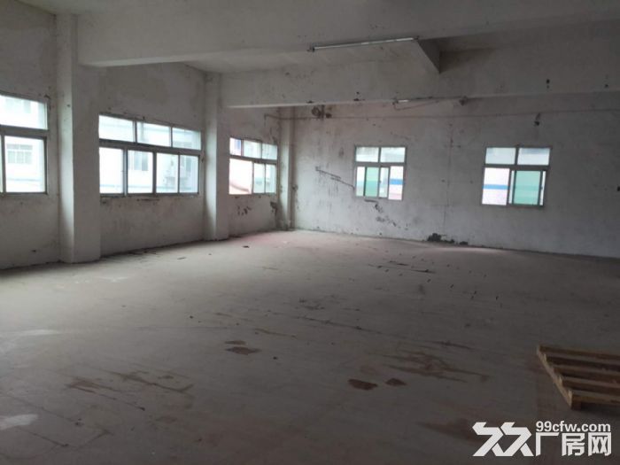 南岸4公里库房出租可分租-图3