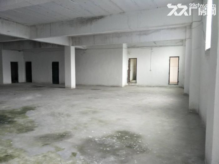 南山黄金路附近800平米门面厂房、仓库出租-图1