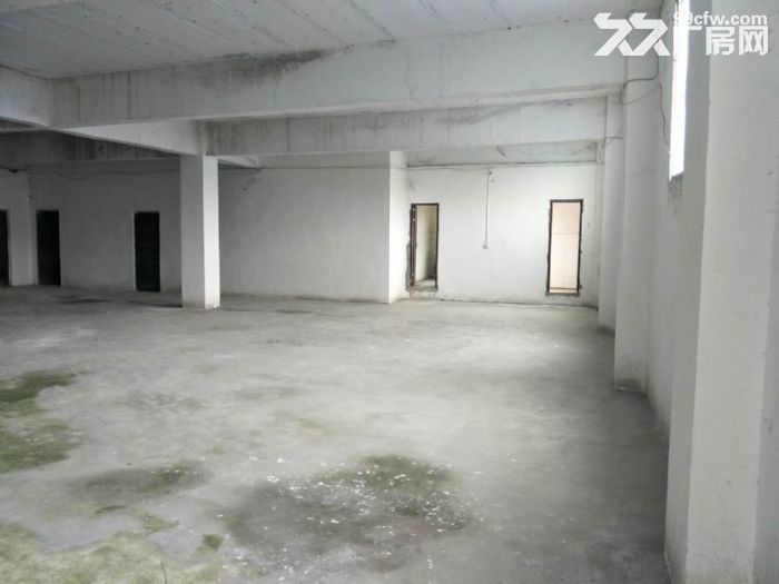 南山黄金路附近800平米门面厂房、仓库出租-图3