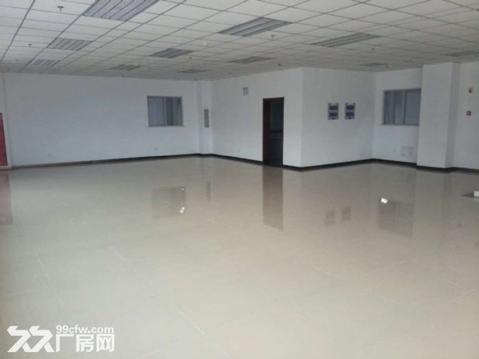 空港20000平米高标库出租-图4