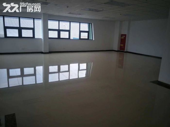 空港20000平米高标库出租-图6