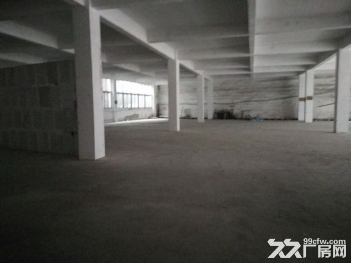 南岸区弹子石1100平厂房招租-图1