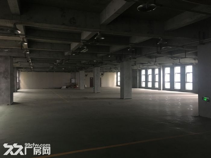 寸滩曙光园区标准独立厂房出租，可用做仓库或机加工-图2