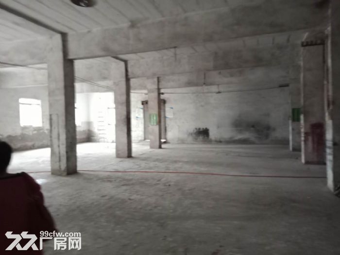 南泉1600厂房火爆出租-图1