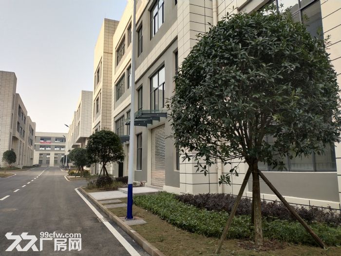 出租、出售墅级标准厂房-图3