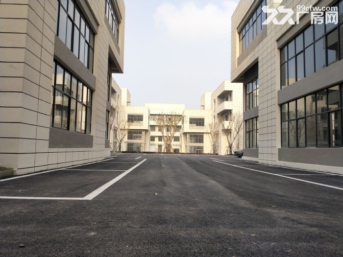 出租、出售墅级标准厂房-图4