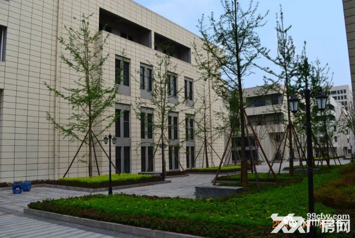 出租、出售墅级标准厂房-图6