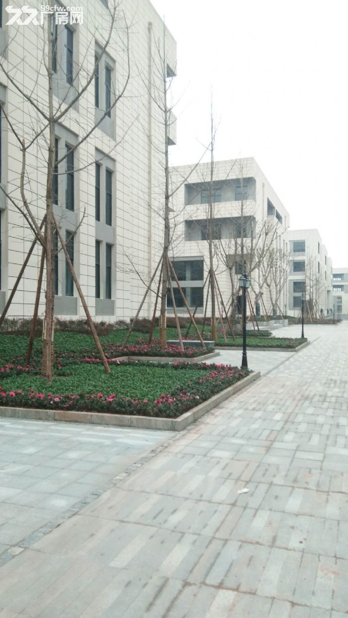 永川标准厂房租售，月供当租金-图3