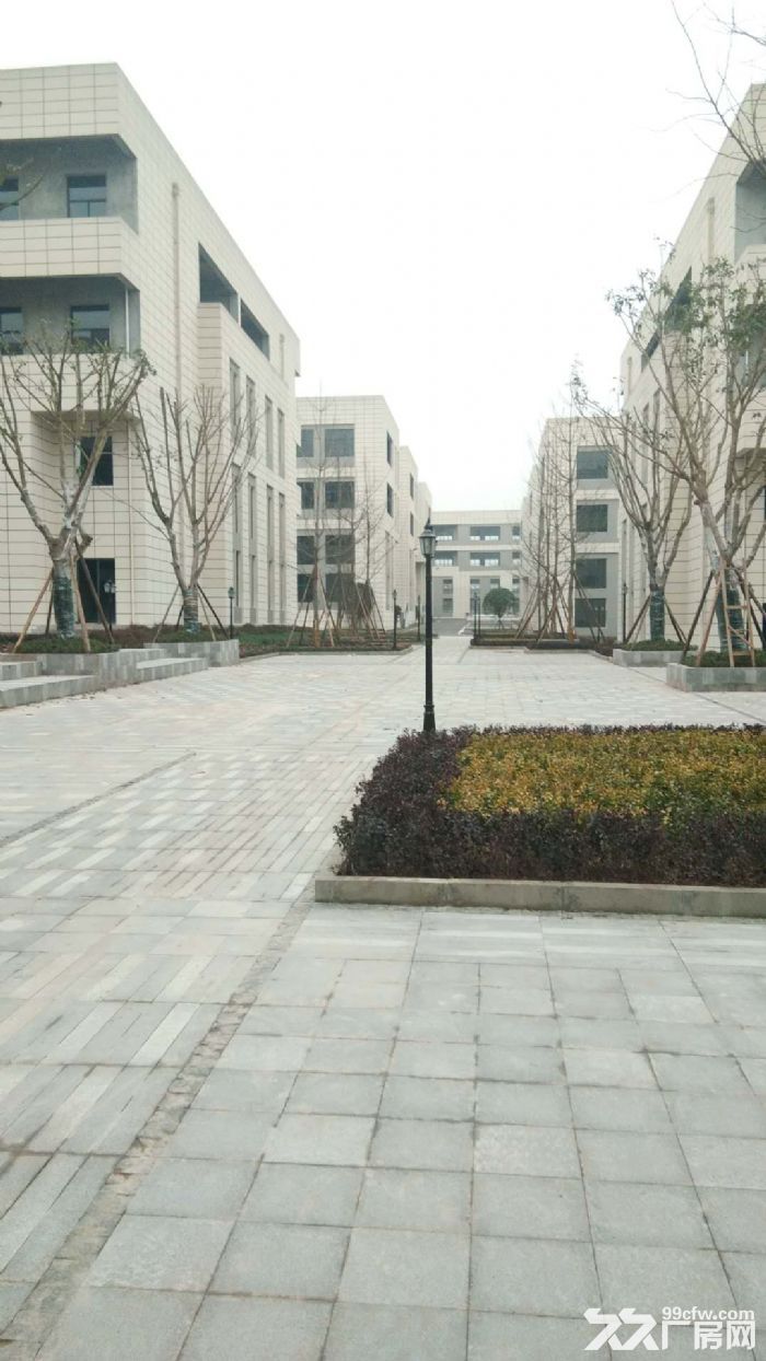 永川标准厂房租售，月供当租金-图4