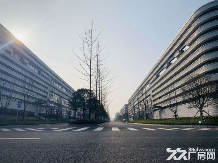 2300平单层纯钢构，开发商直租，交通便利-图2