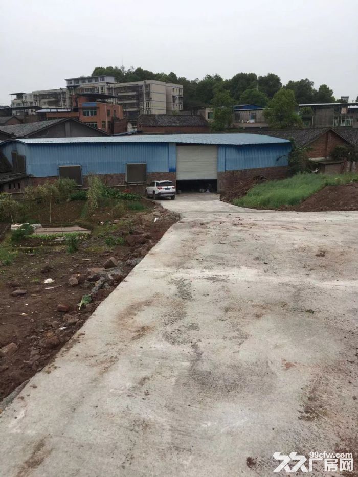 沙坪坝区回龙坝厂房仓库出租-图2
