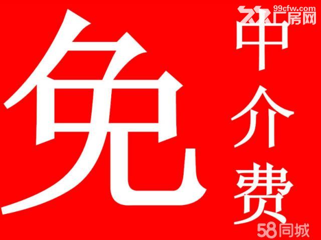 蔡家园区1100到2000平厂房 行车20T-图4