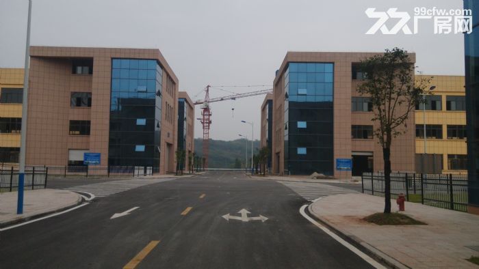 低价出租江津周边单层厂房，最低至10元/平米/月-图2