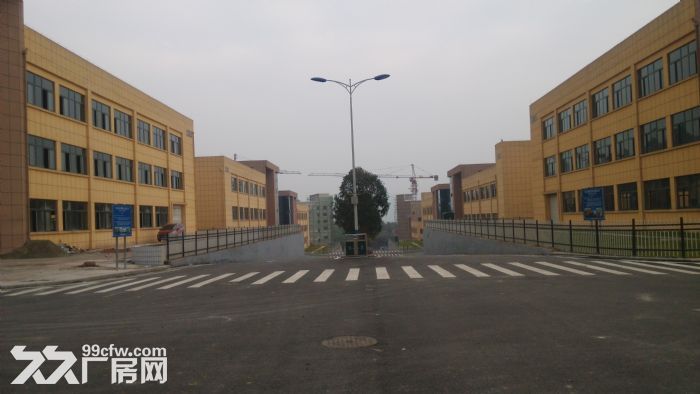 低价出租江津周边单层厂房，最低至10元/平米/月-图3