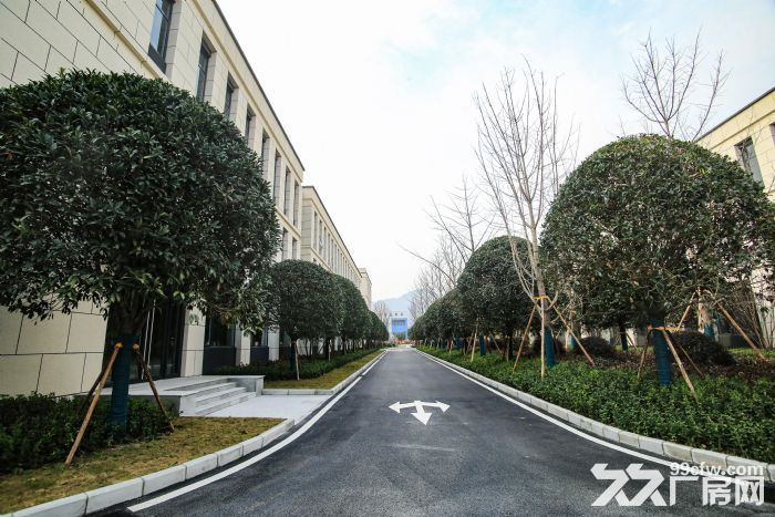 全城招商 品质园区 主城区内在售4个项目 可租可售-图3