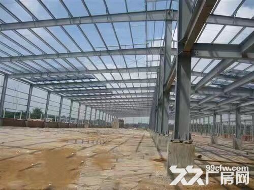 主城区12米钢构独栋，1500㎡租售-图4