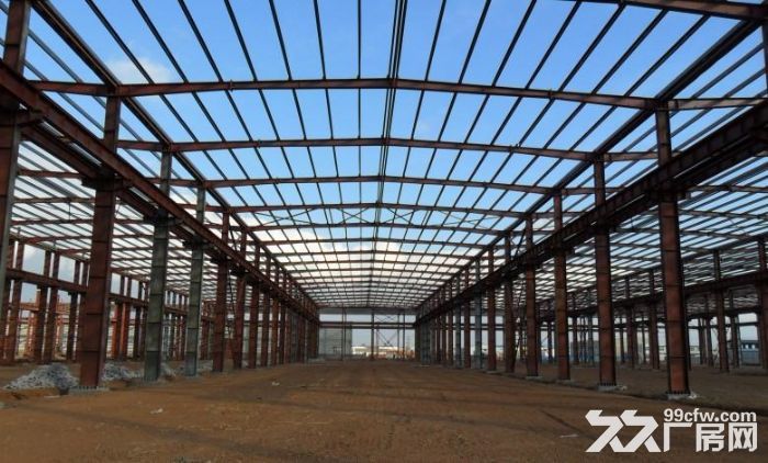 主城区12米钢构独栋，1500㎡租售-图5