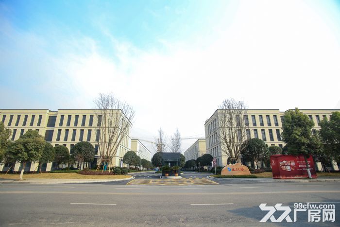 单层1500㎡起 可租可售 简装修-图4