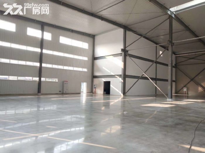 稀缺单层钢构厂房 独立产权 全城招商-图4