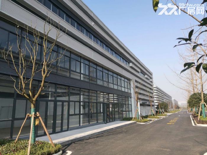 稀缺单层钢构厂房 独立产权 全城招商-图3