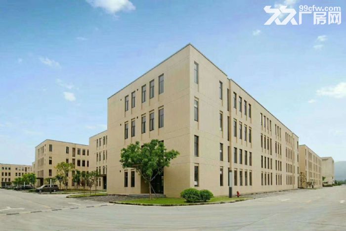 双福新区独栋厂房 户型方正 厂办一体-图3