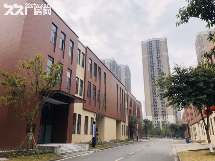 租售高新区开发区品质厂房 享政策 配套齐全-图4