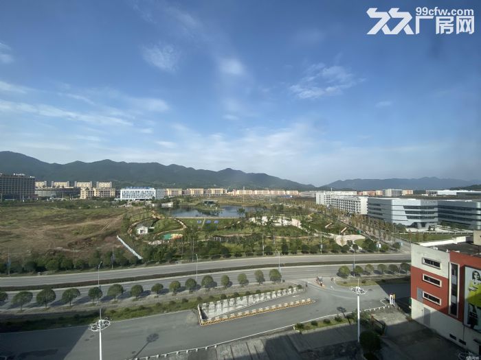 独栋标准墅级厂房 可定制 产业浓厚 生产仓储-图2