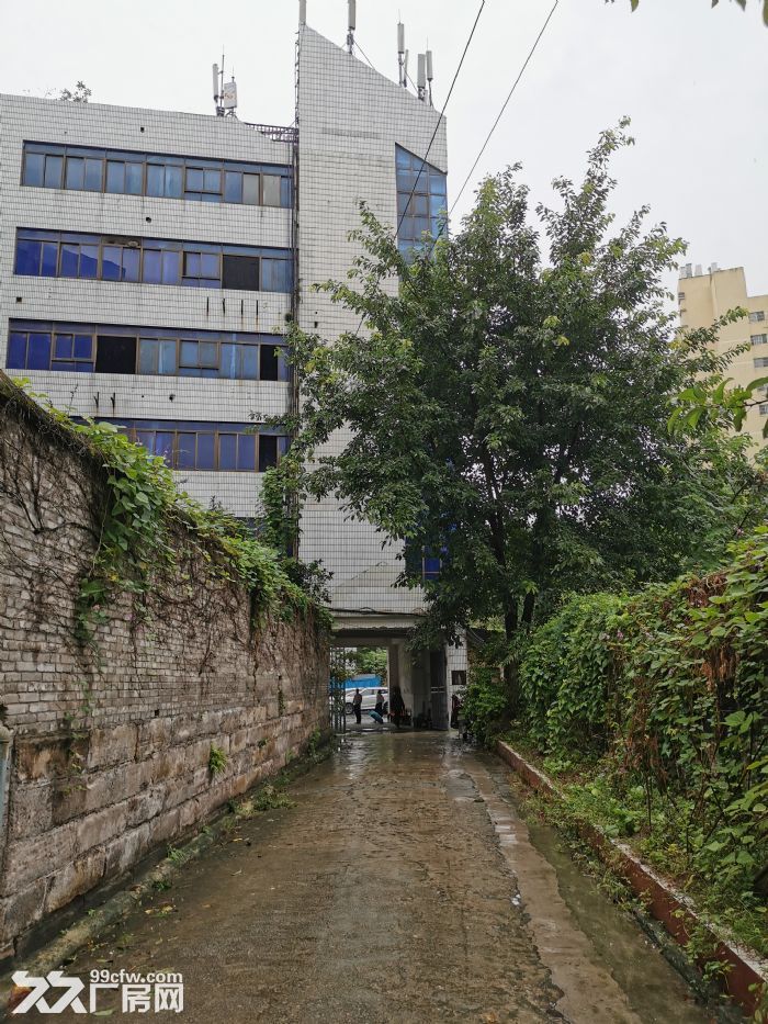 出租北碚老城污水处理厂旁，独栋独院4426平方，开发商直招。-图2