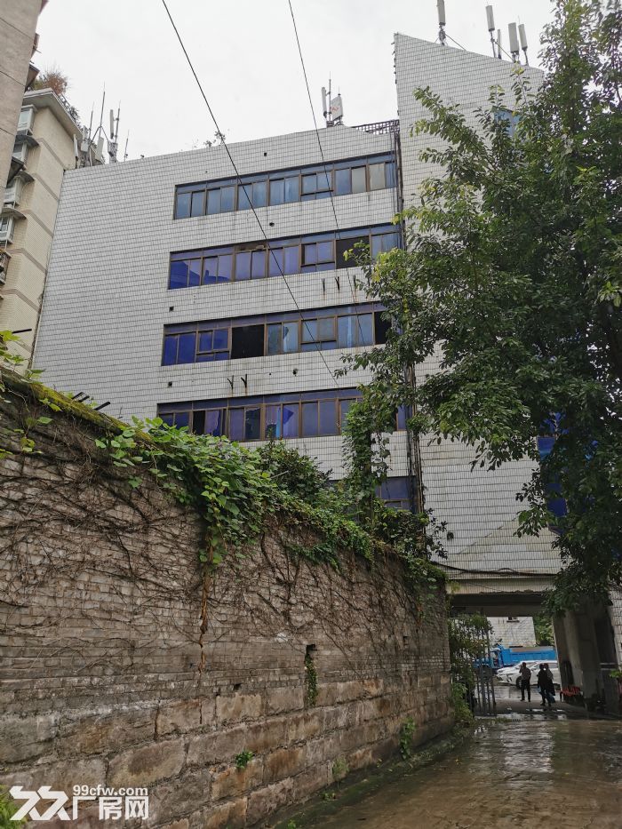 出租北碚老城污水处理厂旁，独栋独院4426平方，开发商直招。-图1