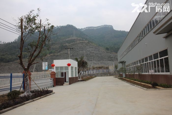 万盛平山产业园标准钢结构厂房出租-图2