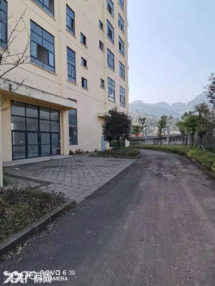 九龙信息孵化园全新简装厂房，符合条件企业租金面谈-图2
