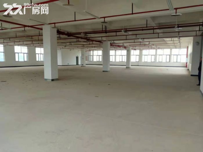 九龙信息孵化园全新简装厂房，符合条件企业租金面谈-图5