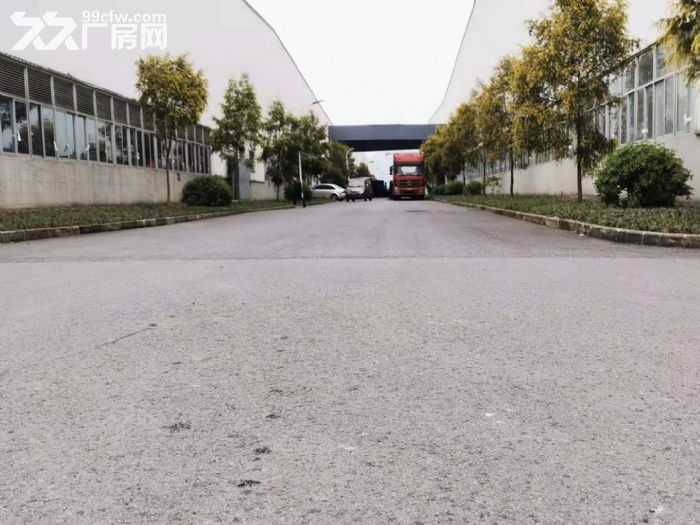 主城13米钢结构厂房出租-图2