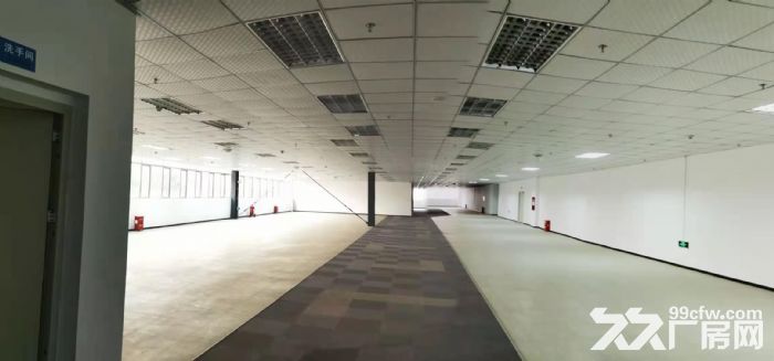 主城13米钢结构厂房出租-图7