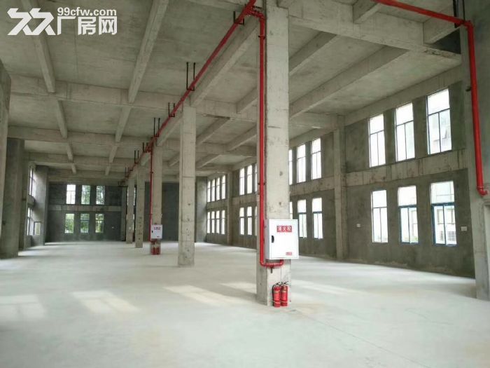 高新区品质园区项目 稀缺厂房 联动招商 独立产权 1000平起-图4