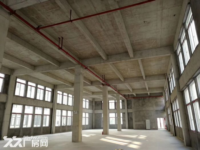 蔡家周边 重庆绕城旁 独栋厂房 1000平起-图4