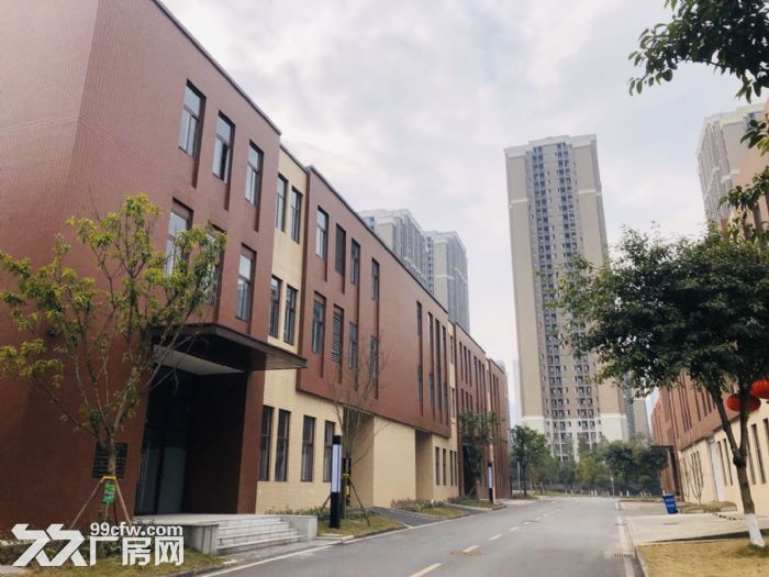 品质物业 花园式园区 独立产权 标准厂房 2200㎡起-图5