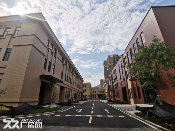 品质物业 花园式园区 独立产权 标准厂房 2200㎡起-图3