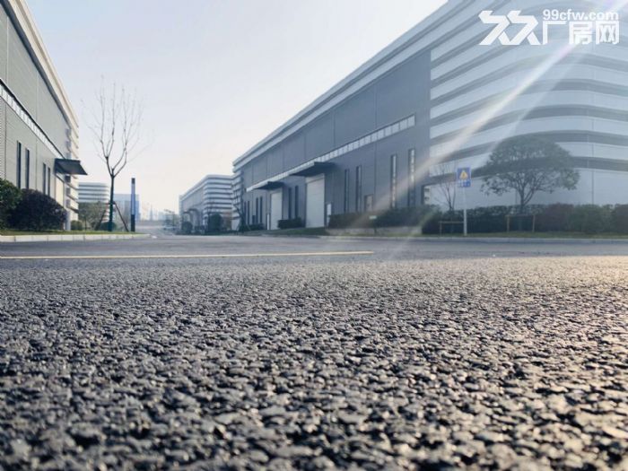歇马拆迁首选 实用型标准厂房 园区可走大车-图5