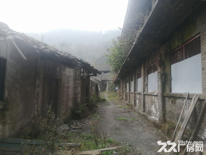 独门独院厂房可改建扩建-图1