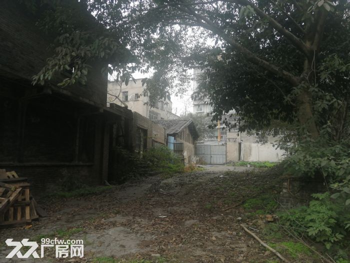 独门独院厂房可改建扩建-图3