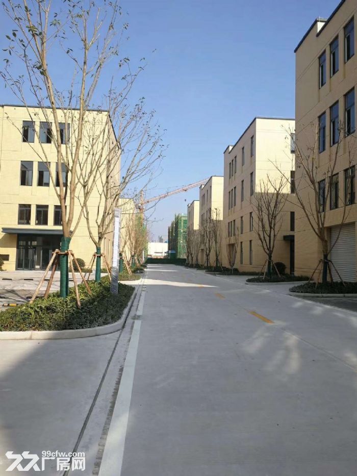 白市驿园区拆迁首选 紧靠九龙坡周边 全新独栋厂房-图5
