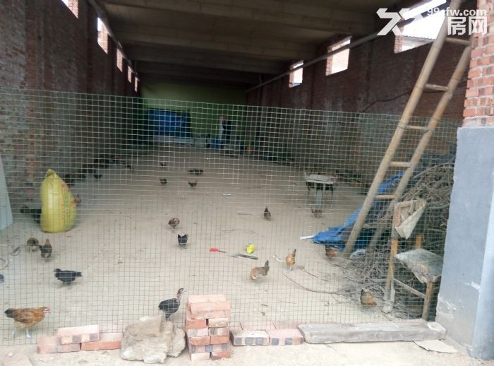 出租厂房或库房有意者请联系-图1