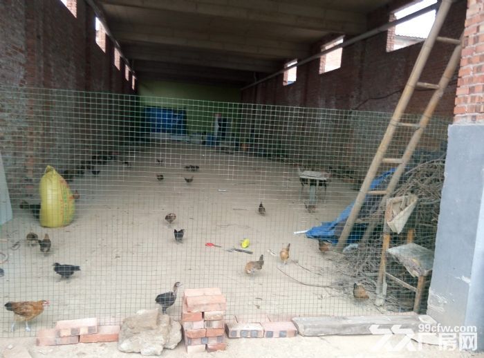 出租厂房或库房有意者请联系-图2