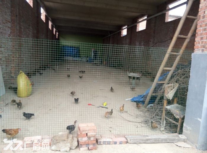 出租厂房或库房有意者请联系-图4