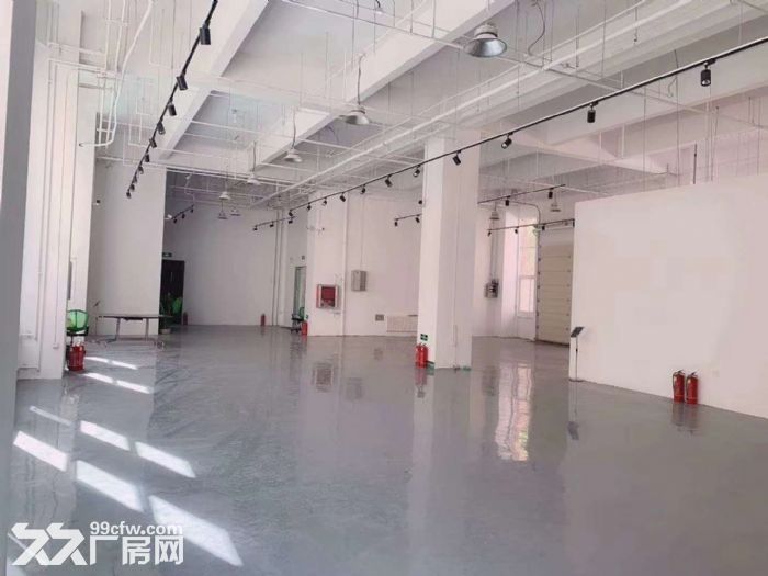 高新区１３００平米独栋转让-图1